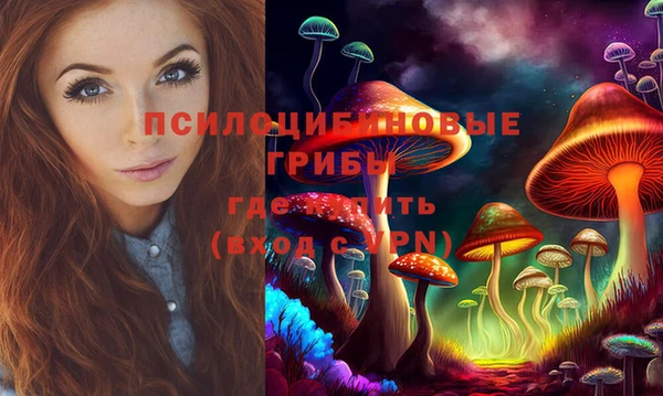эйфоретик Алзамай