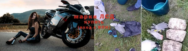 стафф Армянск