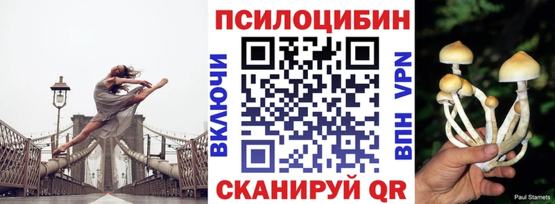 Галлюциногенные грибы мицелий  Набережные Челны 